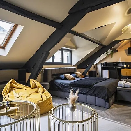 Amber - Balneo, Sauna & Detente Apartment Angers