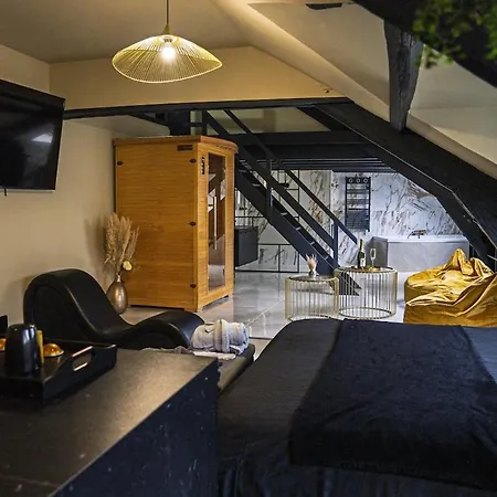 Amber - Balneo, Sauna & Detente Apartment Angers