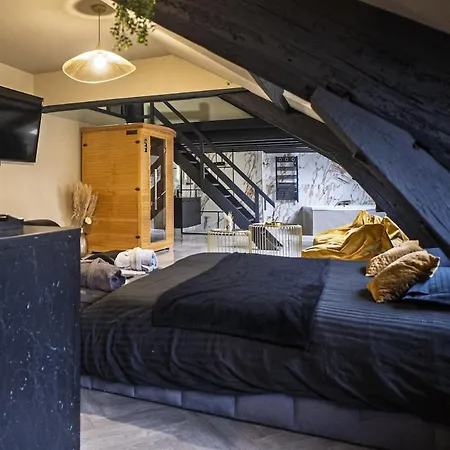 Amber - Balneo, Sauna & Detente Apartment Angers